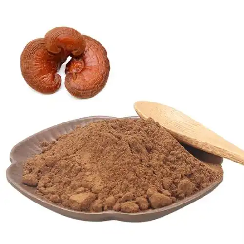 Ganoderma lucidum - From Ancient Remedies to Modern Applications